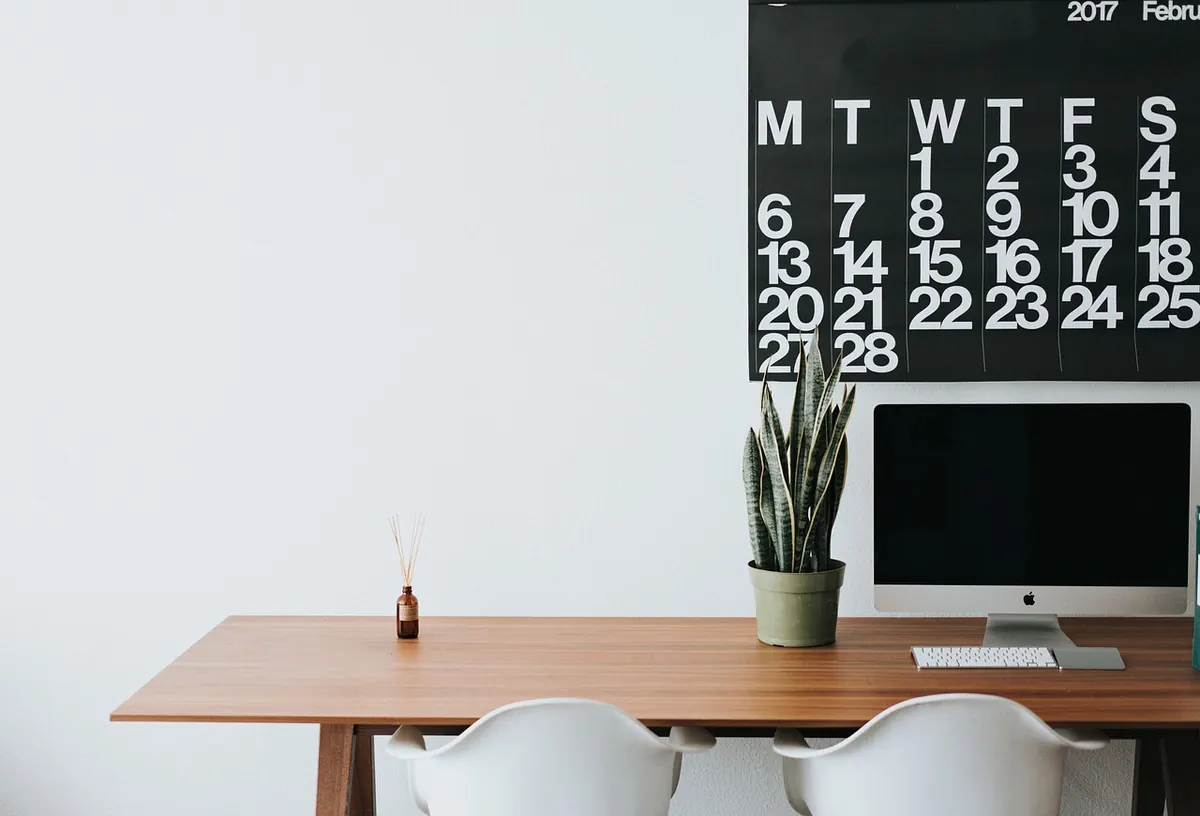 The Beginner's Guide to Desk Plants: Which Ones Thrive in Low Light